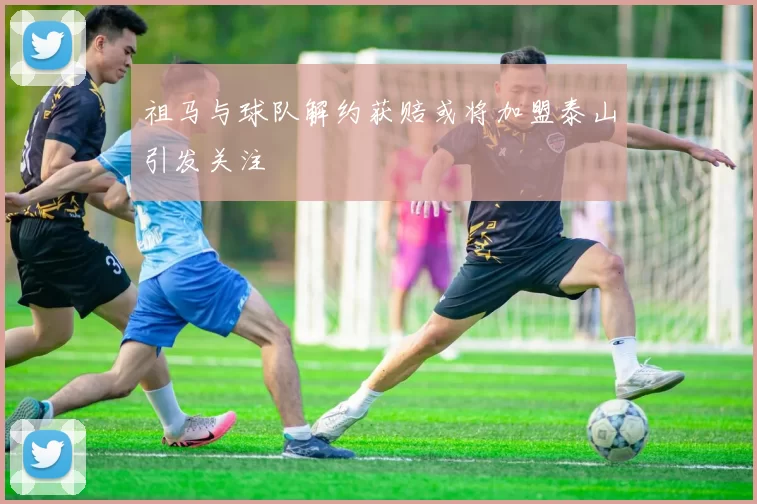 祖马与球队解约获赔或将加盟泰山引发关注